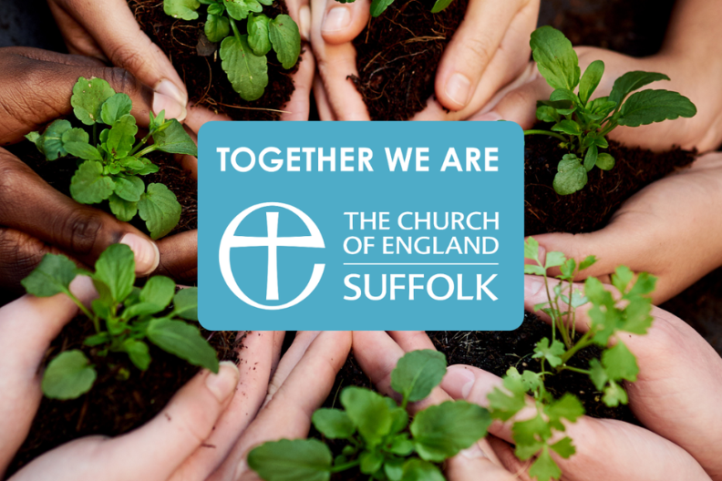 A group of hands holding young plants