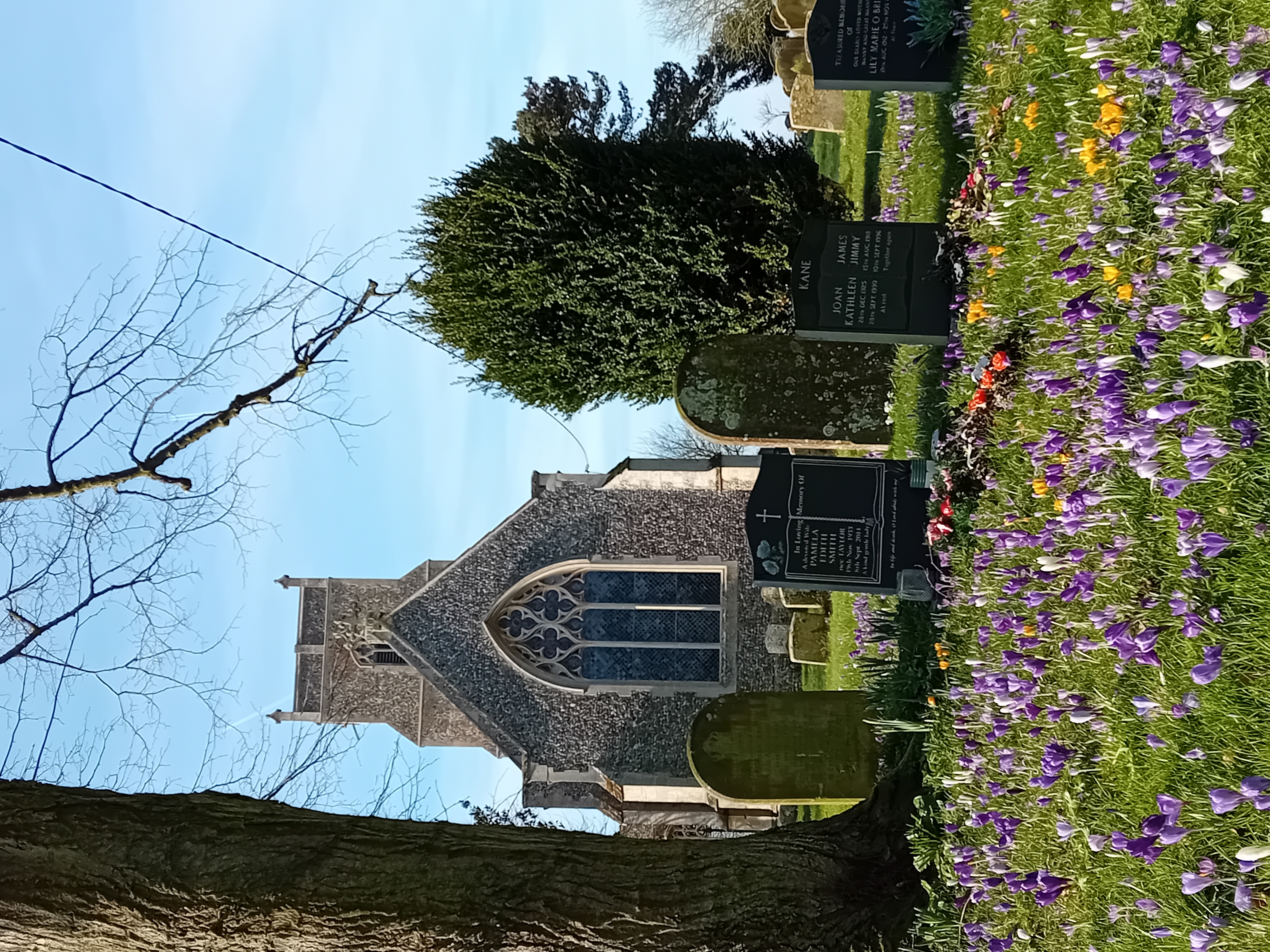 View of St Mary's Church 