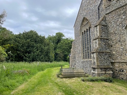 Haughley Church wild churchyard