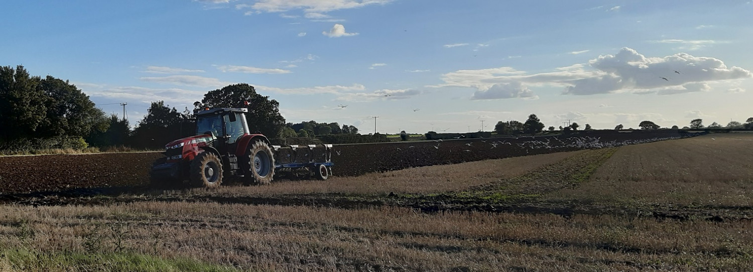 Tractor in field